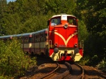 Zuba�ka Ko�enov - Harrachov - Ozubnicov� tra� - zuba�ka (foto 10)