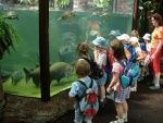 Dv�r Kr�lov� - ZOO & Safari (foto 1)